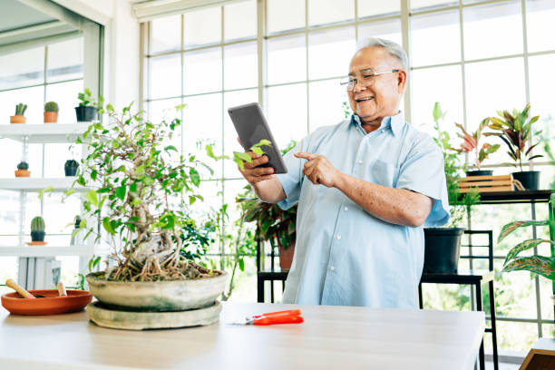 istock Asian retirement grandfather using a digital tablet for selling his good quality plants online with a smile and positive mood. Grandparent business activities by using digital technology at home. 1343670196