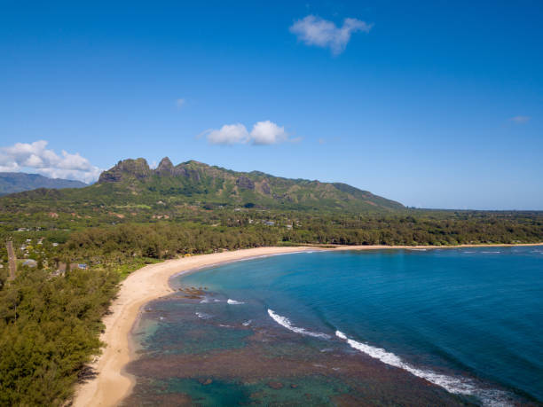 istock Anahola Beach Kauai 1343675677