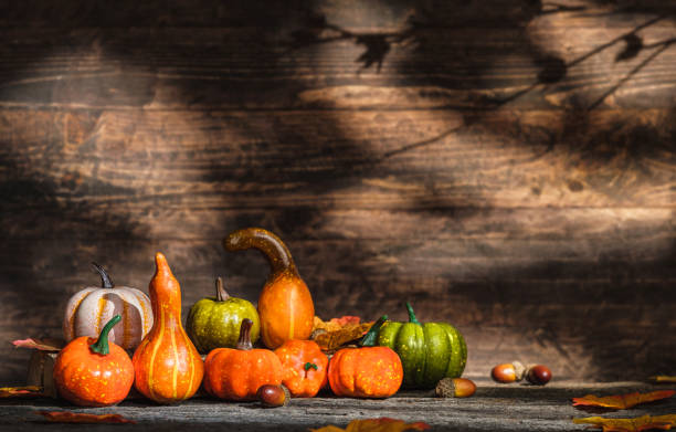 istock Autumn pumpkins and squash fruit with maple leaf on wooden table with sunlight and leaf shadow on wood wall background. Thanksgiving concept. Banner space for adding design or content. 1343678671
