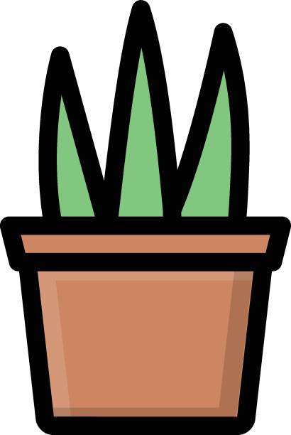 aloe vera aloe vera Vector illustration on a transparent background. Premium quality symbols. Glyphs vector icon for concept and graphic design. aleo vera stock illustrations