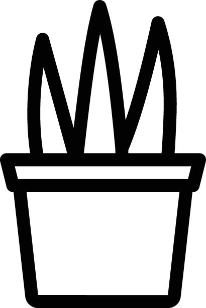 aloe vera aloe vera Vector illustration on a transparent background. Premium quality symbols. Glyphs vector icon for concept and graphic design. aleo vera stock illustrations