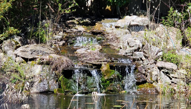 aménagement paysager en cascade avec bassin de rétention artificiel - retention pond photos et images de collection