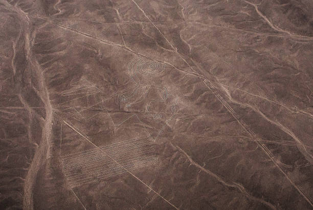 widok z lotu ptaka na nazca lines monkey w peru - ice texture zdjęcia i obrazy z banku zdjęć