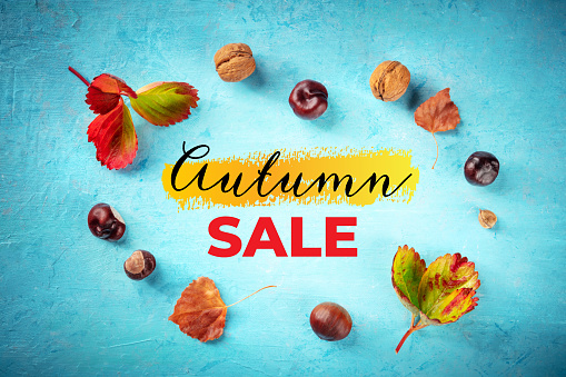 Autumn Sale banner with fall leaves and chestnuts, overhead flat lay shot on a blue background