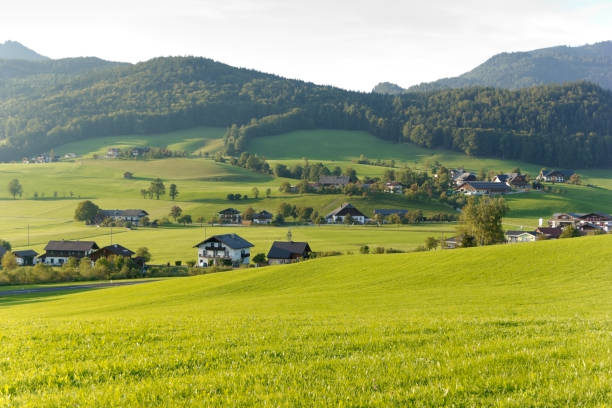 Farmhouses in a beautiful alpine landscape.
