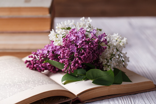 Bouquet of lilacs on old vintage book
