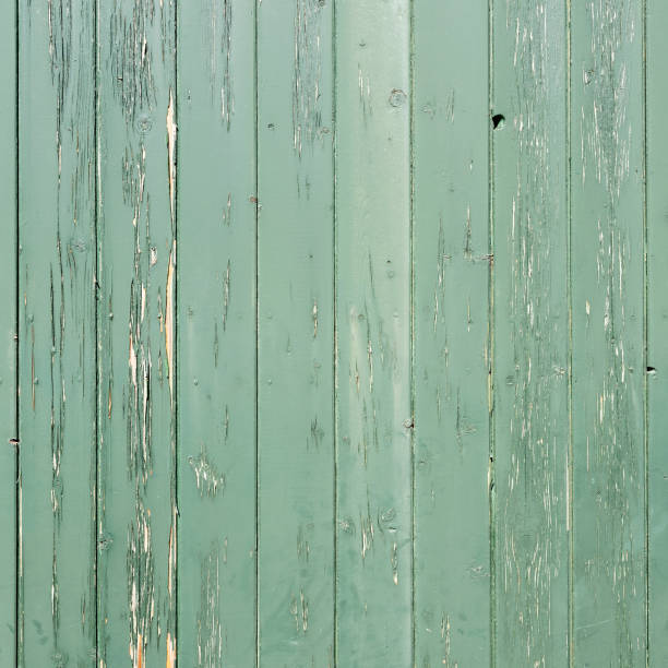istock weathered green pant on old wooden planks 1343703003