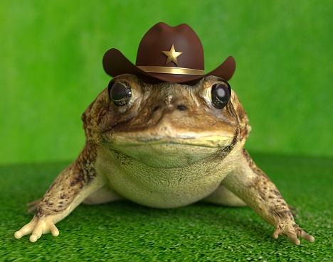 The surreal Toad wearing the hat