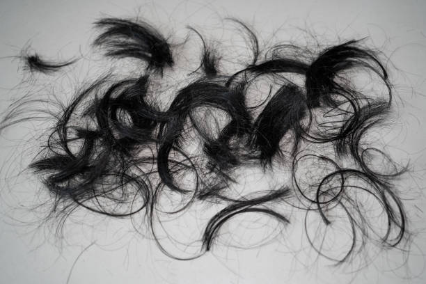 schwarze haare auf dem boden - beauty spa scissors hairstyle beautician stock-fotos und bilder