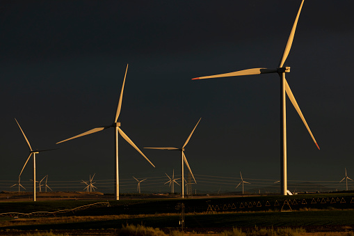 A wind farm for renewable energy generation, with huge wind turbines illuminated by the last rays of the sun, in Gallur, Aragon, Spain