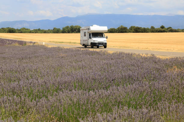 istock lavender fields in provence france 1343738974