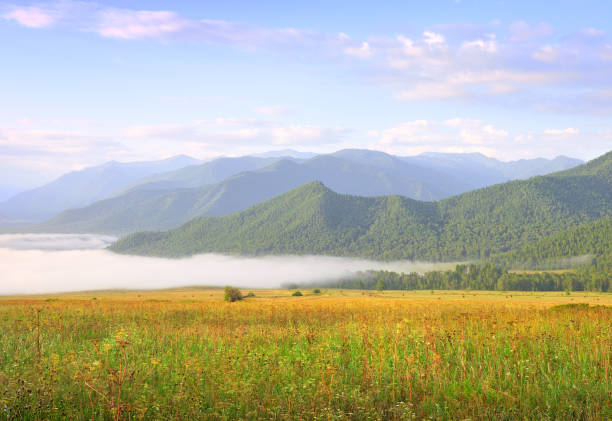 Fog over a green meadow against the background of blue mountains under the morning sky. Siberia, Russia