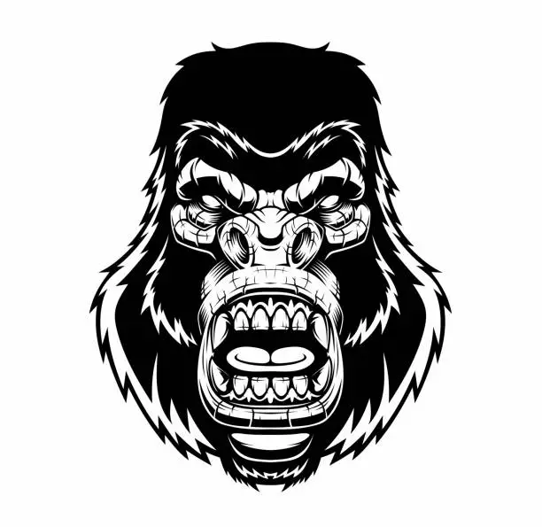 Vector illustration of Angry gorilla head.