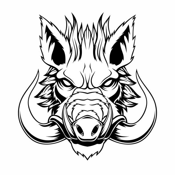 Wild boar head mascot. Vector illustration for use as print, poster, sticker, logo, tattoo, emblem and other. tusk stock illustrations
