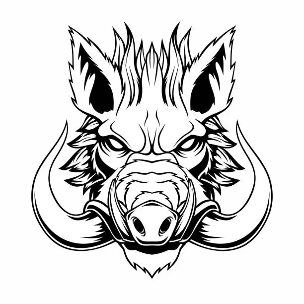 Vector illustration of Wild boar head mascot.