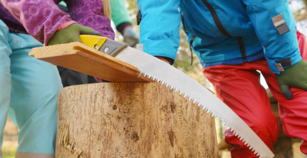 Students cutting wood with saw stock photo