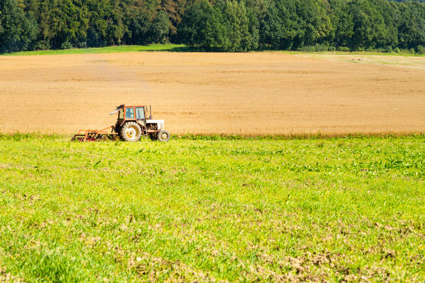 istock Tractor working on the agricultural field 1343765244