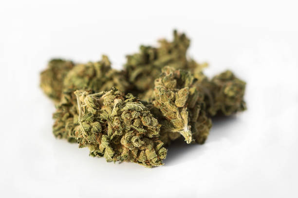 istock Marijuana pieces on a isolated white background 1343766969