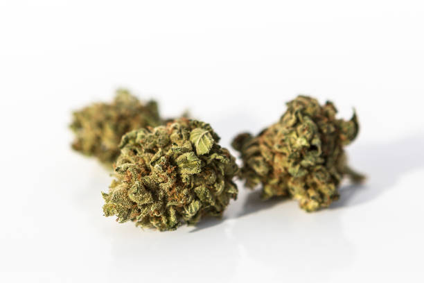 istock Marijuana pieces on a isolated white background 1343769485