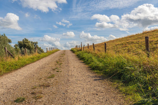 istock Driveway of a Dutch dike 1343769841