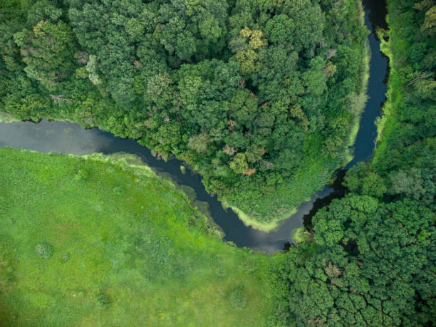 istock Aerial view over the river which is on the green forest. 1343770888
