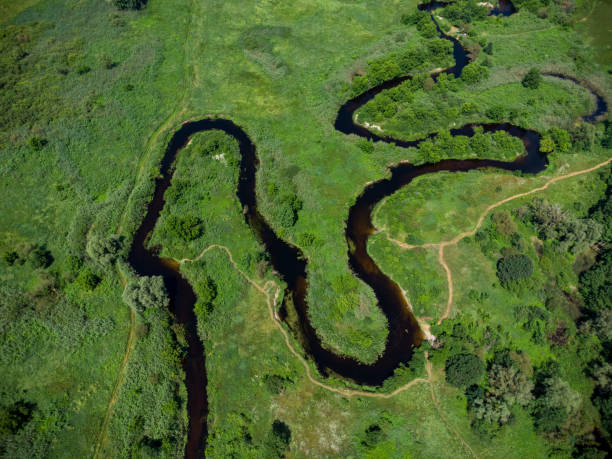 istock Aerial view over the river which is on the green forest. 1343770897