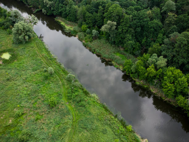 istock Aerial view over the river which is on the green forest. 1343770898