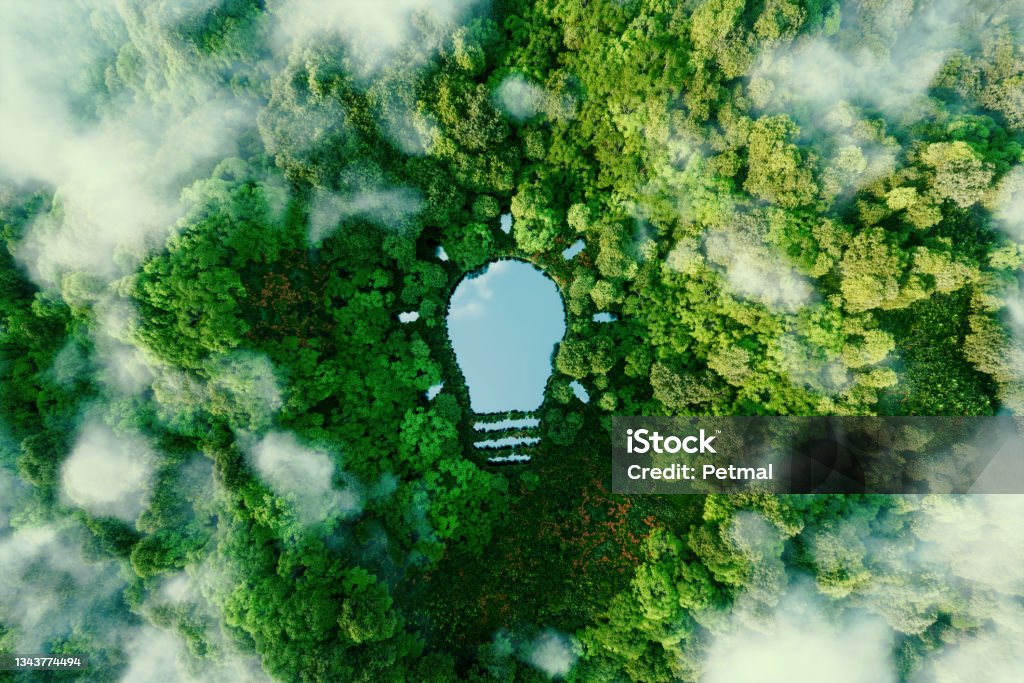 Un lac en forme de bulbe au milieu d’une forêt luxuriante, symbolisant des idées fraîches, de l’inventivité et de la créativité en relation avec la résolution de problèmes environnementaux. Rendu 3D. - Photo de Développement durable libre de droits