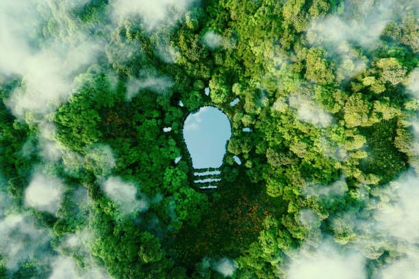 a bulb-shaped lake in the middle of a lush forest, symbolizing fresh ideas, inventiveness and creativity in relation to solving environmental problems. 3d rendering. - innovation stockfoto's en -beelden