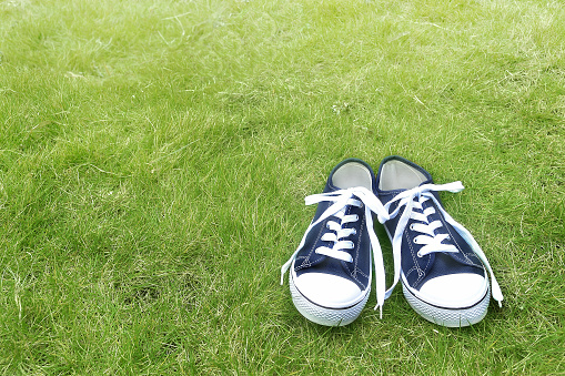 sneakers on the lawn/top angle