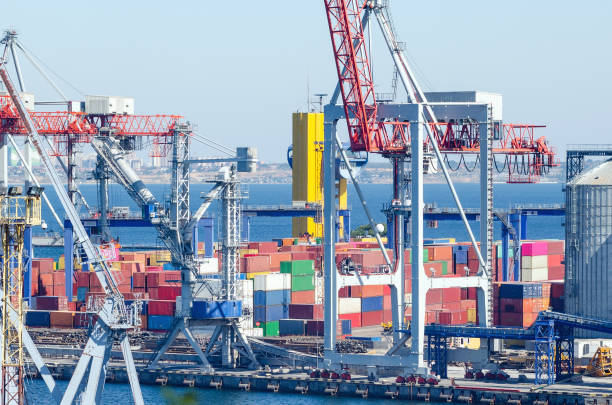 istock Port cranes and sea containers in the cargo seaport 1343777963