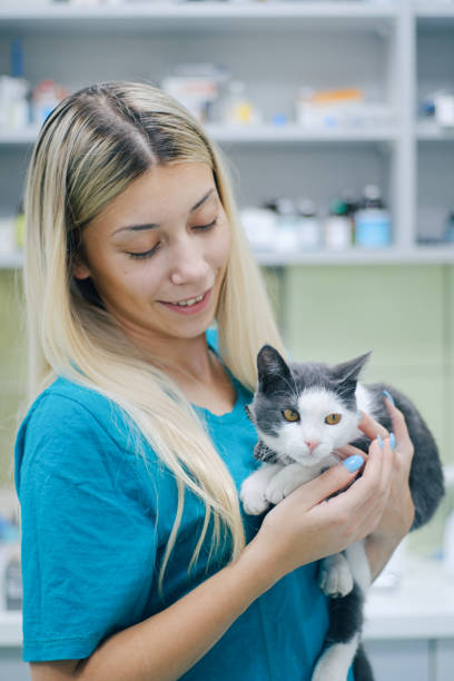 istock Young female vet holding a cat 1343779629