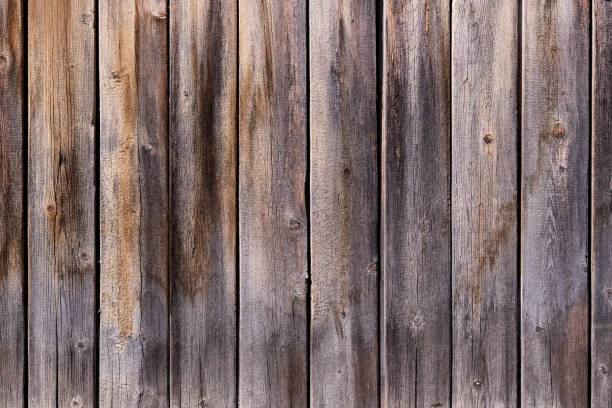 istock Full-screen texture of vertical old pine wooden boards. 1343779660