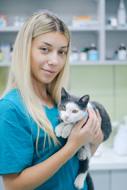 istock Young female vet holding a cat 1343779746