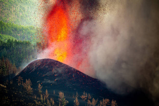 Volcano eruption near forest in nature Hot lava and thick smoke bursting from volcano near woods on Cumbre Vieja mountain range on La Palma Island la palma canary islands photos stock pictures, royalty-free photos & images