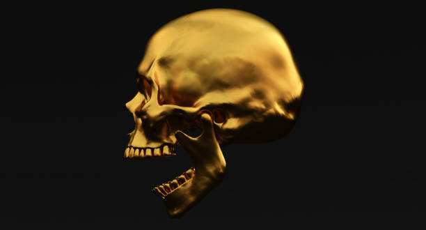 istock 3D Set of Human skulls isolated on blackbackground, 3d render 1343789635