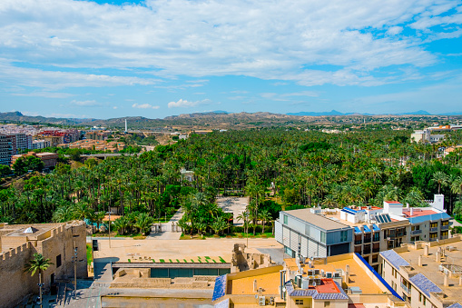 an aerial view over the famous Palmeral de Elche, Palm Grove of Elche in English, a public park with many palm trees in Elche, Spain, with the Altamira Castle in the foreground on the left