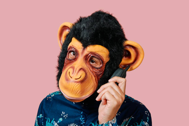 istock man with a monkey mask speaking in a mobile phone 1343792156