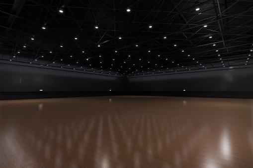 Empty hall exhibition centre. The backdrop for exhibition stands, booth elements.Conversation centre for the conference.Big Arena for entertainment,concert, event. Indoor stadium for sports.3d render.