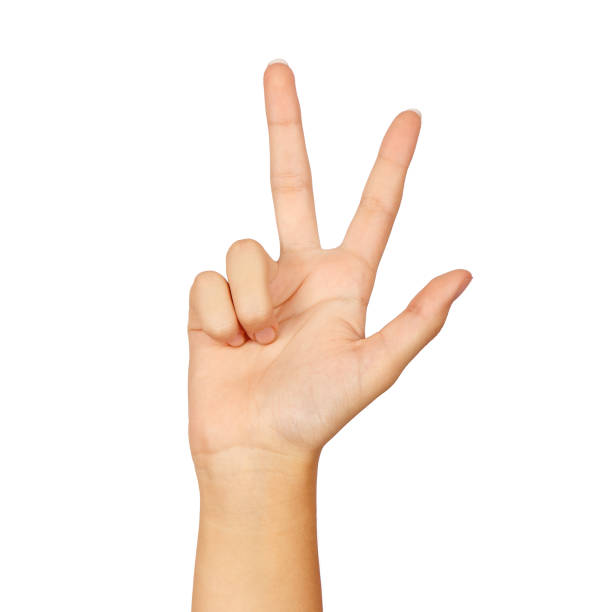 istock american sign language number 3 1343802210