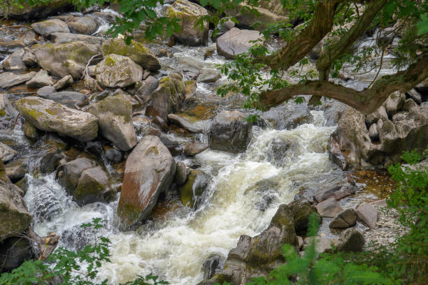 istock Water flowing over rocks in a river 1343803037