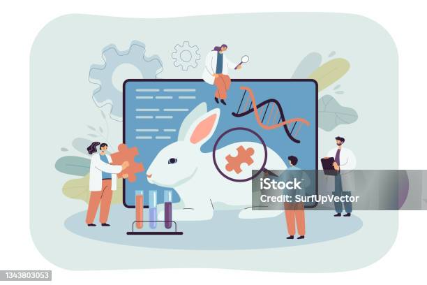 Layout With Genetically Modified Rabbit In Laboratory Stock ...
