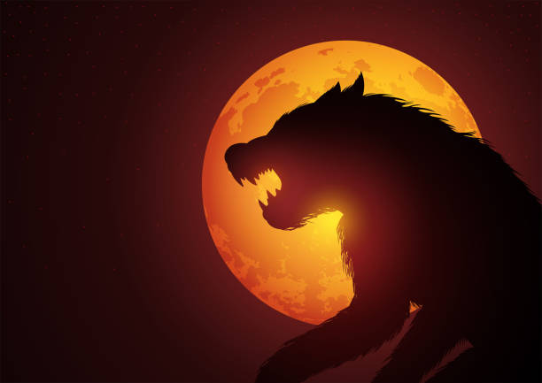 보름달 동안 밤에 숨어 있는 늑대인간 - horror monster spooky movie stock illustrations