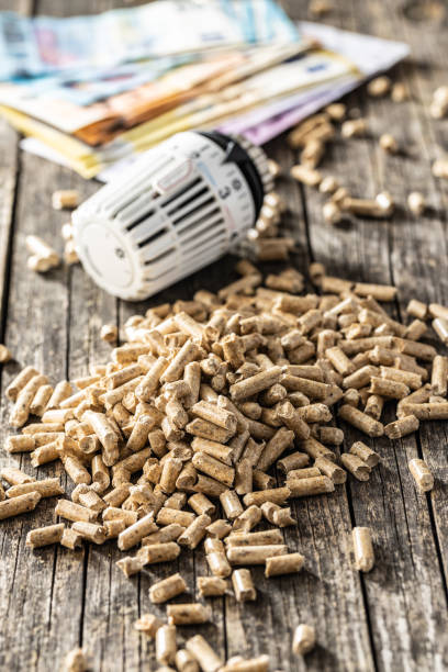 istock Wooden pellets, euro banknotes and thermostatic head. Ecologic heating. 1343807984