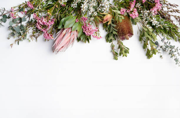 istock Australian native flower wreath. 1343808710