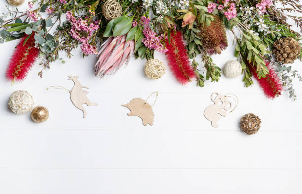 Christmas Background of Australian native flowers and animal decorations. Christmas Background decorated with Australian native wooden animals and flowers - Eucalyptus leaves, Proteaceae, Banksia, Callistemon, Tea Tree and Wax-flowers, on a rustic white background. australian culture stock pictures, royalty-free photos & images