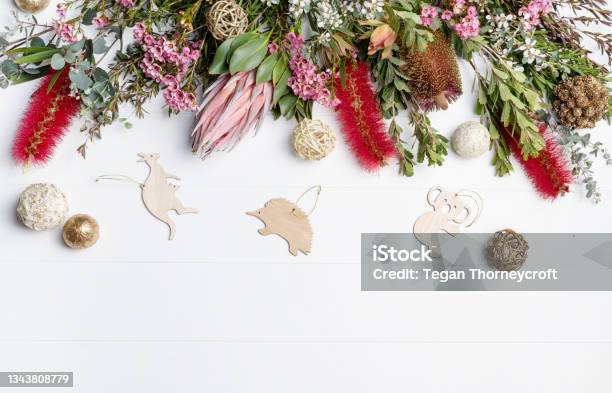 Christmas Background Of Australian Native Flowers And Animal Decorations Stock Photo - Download Image Now