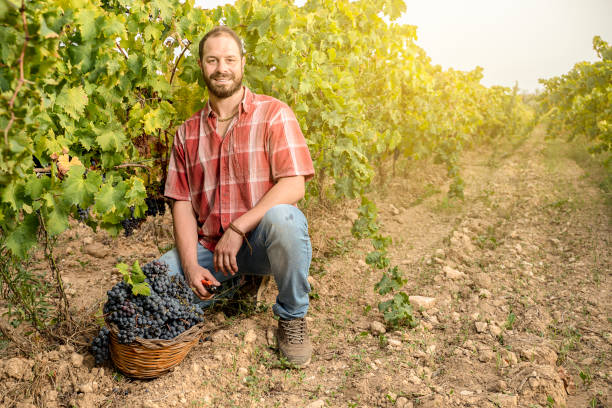 istock young farmer in the vineyard 1343808837