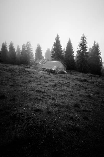 Black and white toned image depicting a sinister-looking abandoned wooden cabin emerges from the mist in a desolate mountain forest. Room for copy space.