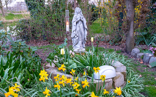 concrete statue of Holy Virgin Maria in garden in spring with daffodils, tulips and burning candle